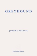 Greyhound