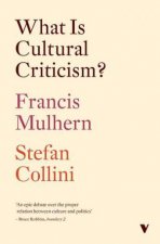 What Is Cultural Criticism