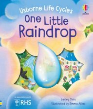 One Little Raindrop Usborne Life Cycles