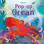 Popup Ocean