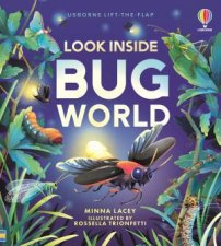 Look Inside Bug World Usborne Lifttheflap