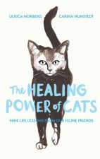 The Healing Power of Cats