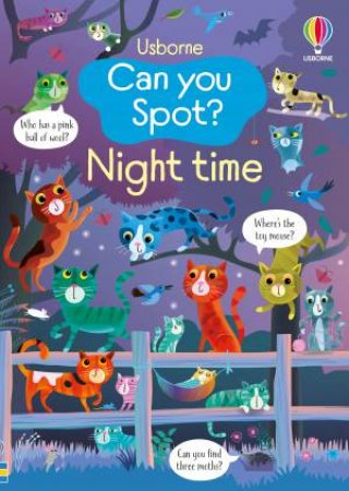 Can You Spot? Night Time by Kirsteen Robson & Gareth Lucas