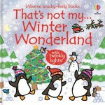 Thats Not My Winter Wonderland