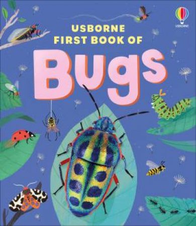 Usborne First Book of Bugs by Katie Daynes & Sandra de la Prada