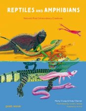 Reptiles  Amphibians