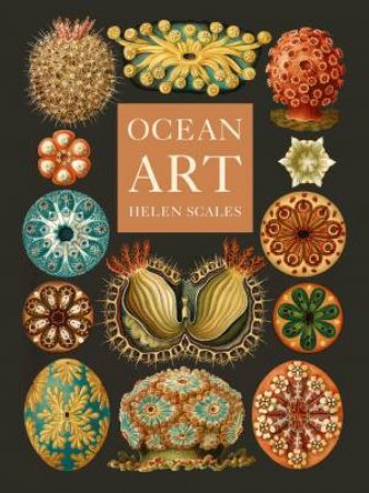 Ocean Art by Helen Scales