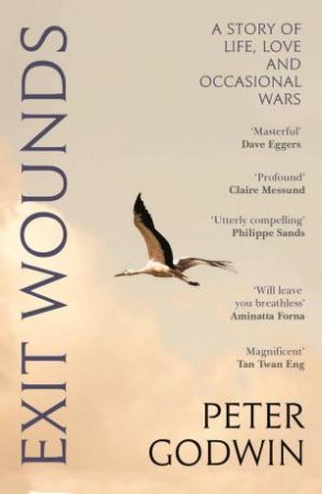Exit Wounds by Peter Godwin