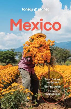 Lonely Planet Mexico by Various