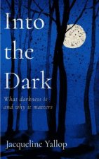 Into the Dark What darkness is and why it matters