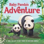 Baby Pandas Adventure