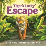 Tigers Lucky Escape