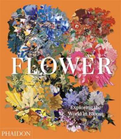 Flower: Exploring The World In Bloom by Pavord Anna & Connolly Shane