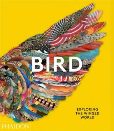 Bird: Exploring The Winged World by Editors Phaidon & Grouw Katrina & Lobo Jen