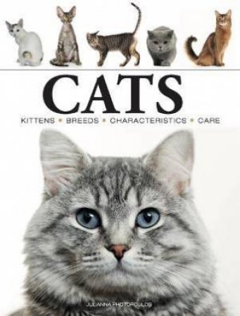 Cats by Various