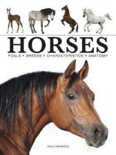 Horses