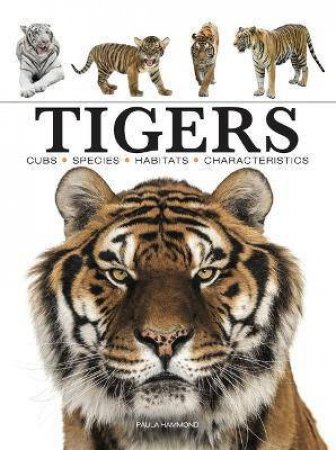 Tigers by Various