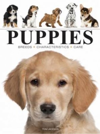 Mini Puppies by Various