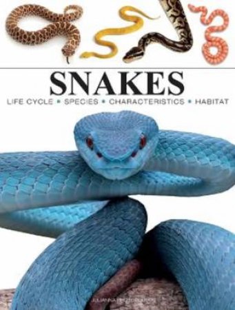 Mini Snakes by Various