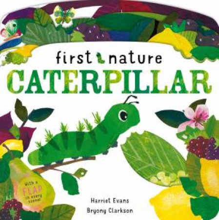 Caterpillar by Bryony Clarkson & Harriet Evans