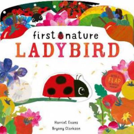Ladybird by Bryony Clarkson & Harriet Evans