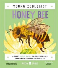 Honey Bee Young Zoologist