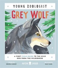 Grey Wolf Young Zoologist