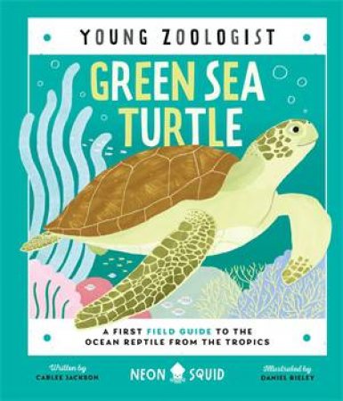 Green Sea Turtle (Young Zoologist) by Carlee Jackson