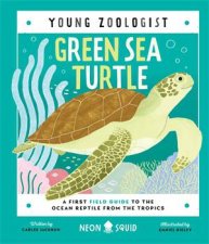 Green Sea Turtle Young Zoologist