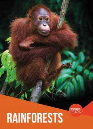 Rainforests by Joanna Brundle