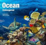 Ocean Endangered