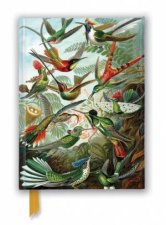Foiled Journal 311 Ernst Haeckel Hummingbirds