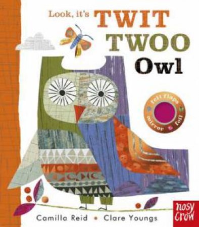 Look, It's Twit Twoo Owl by Clare Youngs & Camilla Reid