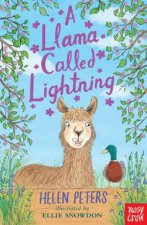 A Llama Called Lightning Jasmine Green