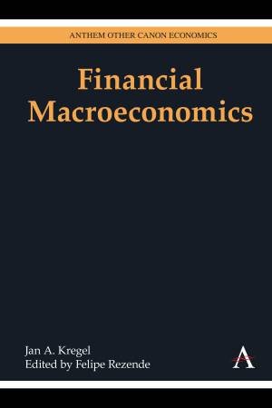 Financial Macroeconomics by Jan A. Kregel & Rainer Kattel & Felipe Rezende
