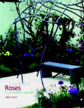 Roses In A Modern Garden by Sally Court