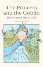 Princess and the Goblin  The Princess and Curdie