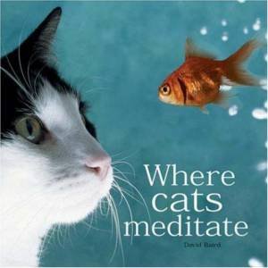 Where Cats Meditate by David Baird