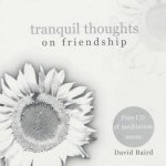 Tranquil Thoughts On Friendship