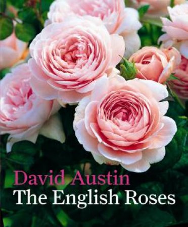 English Roses by David Austin