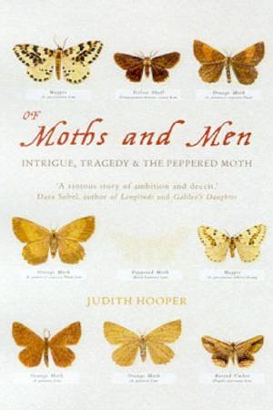 Of Moths And Men: Intrigue, Tragedy & The Peppered Moth by Judith Hooper