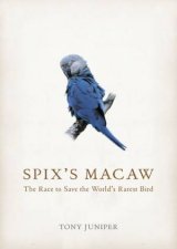 Spixs Macaw The Race To Save The Worlds Rarest Bird