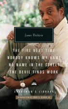 The Fire Next Time Nobody Knows My Name  No Name  In The  Street The Devil Finds Work