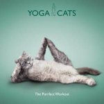 Yoga Cats The Purrfect Workout