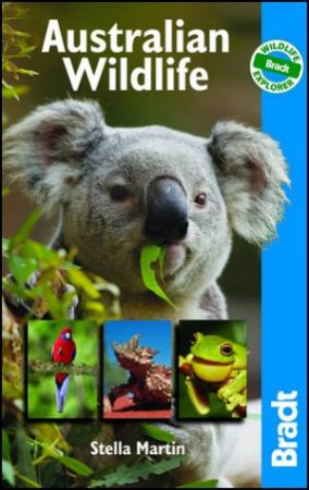 Australian Wildlife by Stella Martin