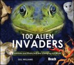 100 ALIEN INVADERS