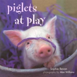 Piglets At Play Gift Book by Sophie Bevan