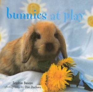 Bunnies At Play Gift Book by Sophie Bevan