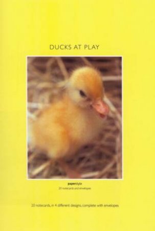 Ducks At Play by Sophie Bevan