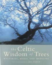 The Celtic Wisdom Of Trees